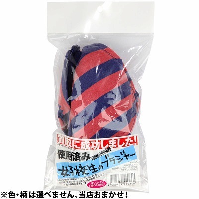 ����ɐ������܂����I���q�Z���̃u���W���[�i����A�C�e���j