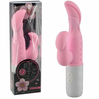 �����������o�C�u�i�o�C�u�j