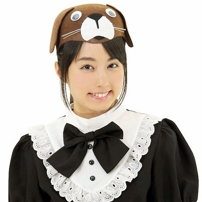 �A�j�}���X�q�@�C�k�i�R�X�`���[���j