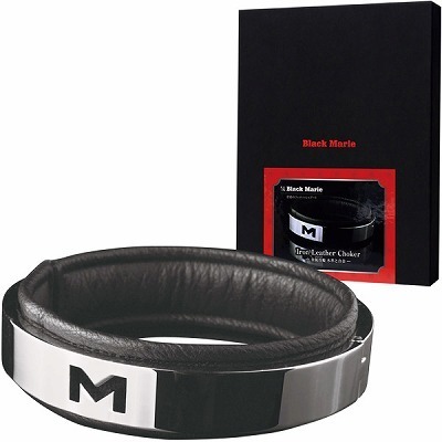 �u���b�N�}���[�@�{�v�ƍ����@�i������ցj�iSM�E�S����j