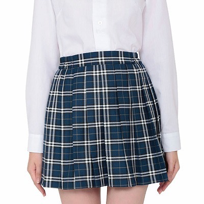 �S�X�^�C���`�F�b�N�X�J�[�g�@�u���[�i�R�X�`���[���j