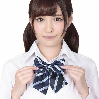 �������X�N�[�����{���@�u���[�X�g���C�v�i�R�X�`���[���j