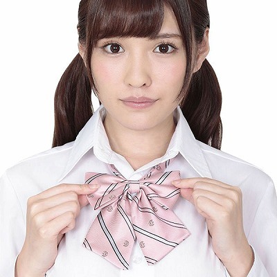 �������X�N�[�����{���@�s���N�X�g���C�v�i�R�X�`���[���j