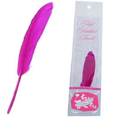 �����傱����@�i�r�j�iSM�E�S����j