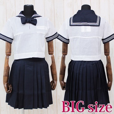 私立女子学園中学校・高等学校のセーラー服(夏服)BIG(コスチューム)