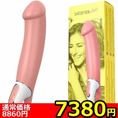 �y�V�R�W�O�~�����ʌ���z�r�����������������@���������i�T�e�B�X�t�@�C���@�o�C�u�j�@�}�X�^�[������l�l�P�_���聄�i�����������i�j