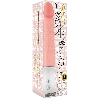 �ō��̂����Ƃ�G���B�������A���ȃo�C�u�@�i�l�j�i�o�C�u�j